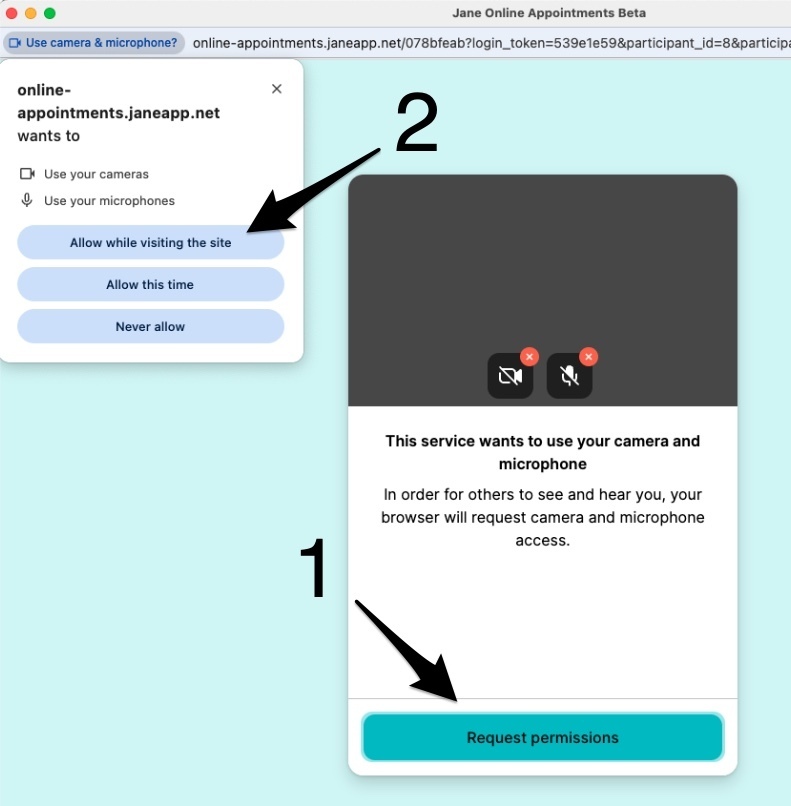 The browser permissions prompt showing the Request Permissions button and Allow while visiting this site option