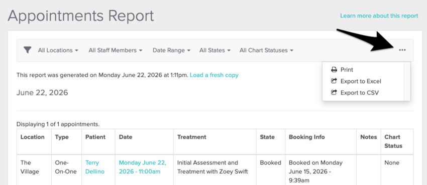 The Appointments Report open with the three dots in the upper right selected to show the export options