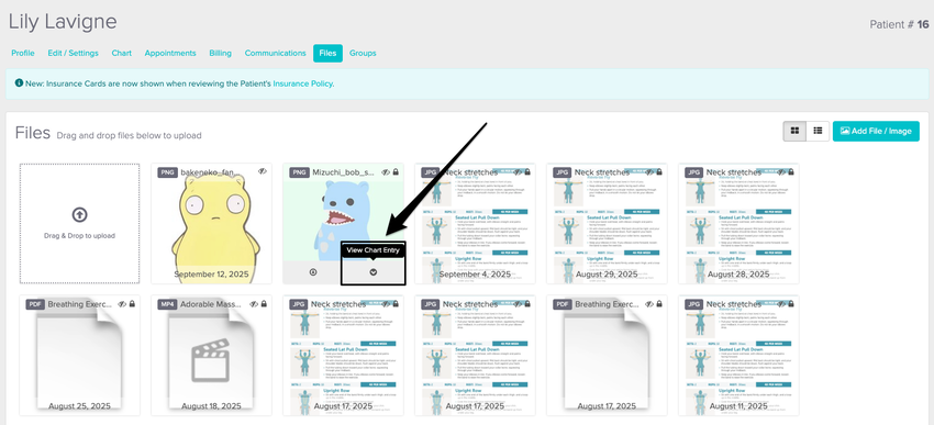 An image of what is displayed for the individual chart entry