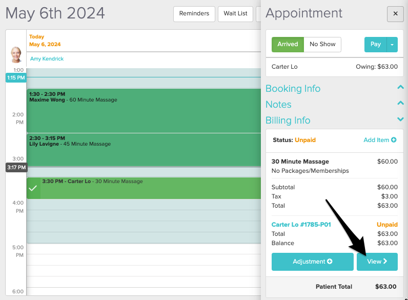 Screenshot of the Appointment panel in the Schedule