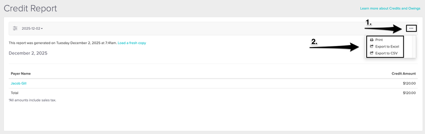 An image of what the credit report looks like including the export steps