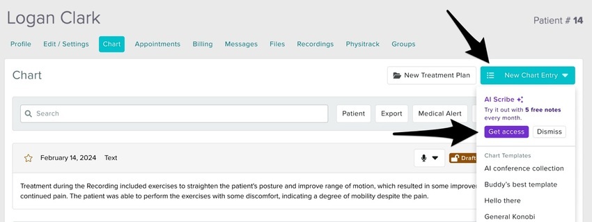 The New Chart Entry dropdown menu showing a Get Access button at the top