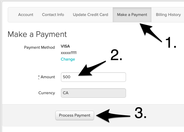 The Make a payment screen