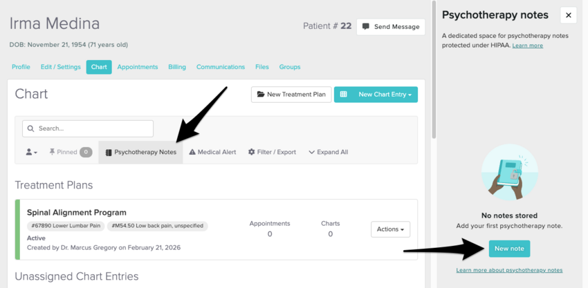 The psychotherapy noytes tab with the new note panel open, showing the new note button