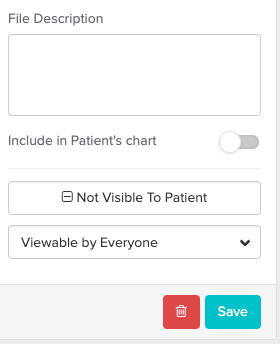 The Edit File panel showing the Include in Patient's chart toggle, Not Visible to Patient button, and Viewable by Everyone drop-down