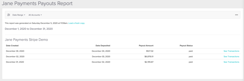 Jane Payments Payout Report