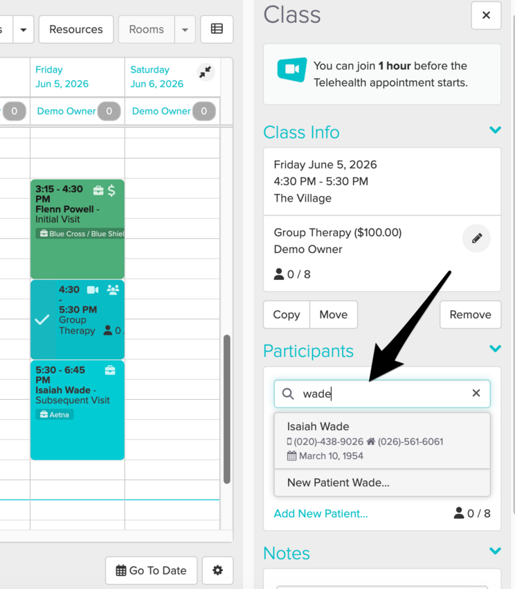 The Appointment Panel showing the Add Participant field with a client name entered