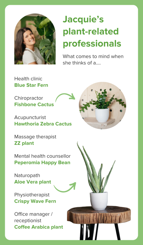 A list of Jacquie’s 
plant-related professionals - What comes to mind when she thinks of a.... Health clinic: Blue Star Fern; Chiropractor: Fishbone Cactus; Acupuncturist: Hawthoria Zebra Cactus; Massage therapist: ZZ plant; Mental health counsellor: Peperomia Happy Bean; Naturopath: Aloe Vera plant; Physiotherapist: Crispy Wave Fern; Office manager / receptionist: Coffee Arabica plant