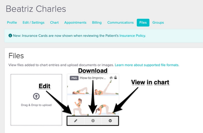 An image of the above mentioned options once you hover over the uploaded file