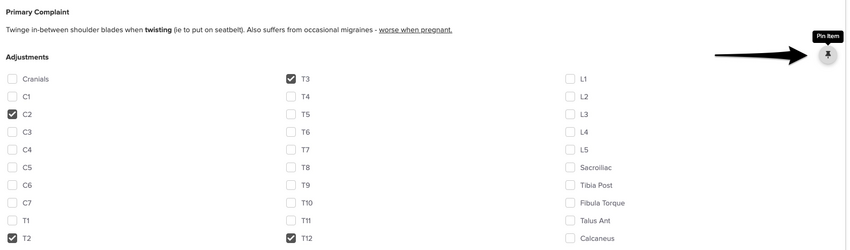 An image of where the pin icon appears after hovering over a specific section of the chart entry
