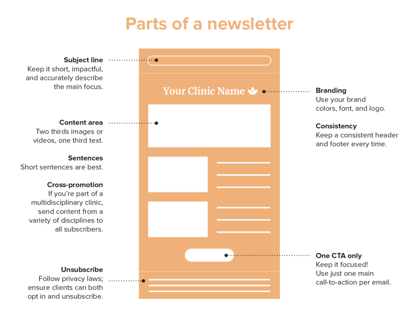 A diagram outlining the main parts of an email newsletter