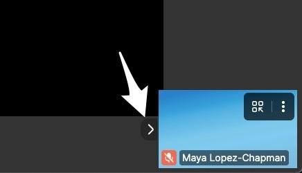 A Telehealth call showing the arrow on the left side of the video tile used to hide the self view