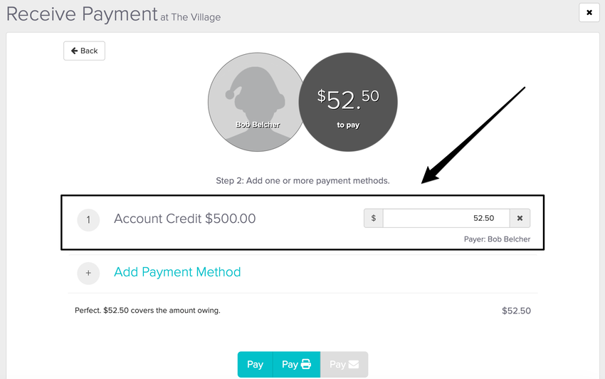 An image of what the receive payment screen should look like when the correct payment method is selected