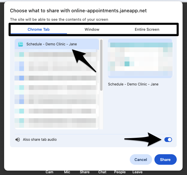 The screen share options menu showing the Share Audio checkbox and screen sharing options
