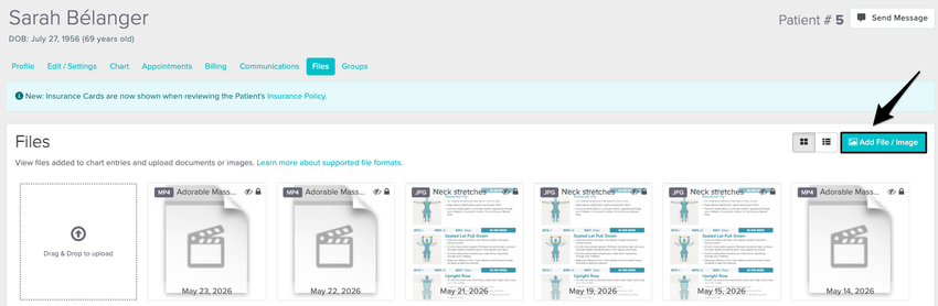 The Files tab in a patient profile showing the drag-and-drop upload area and the Add File / Image button