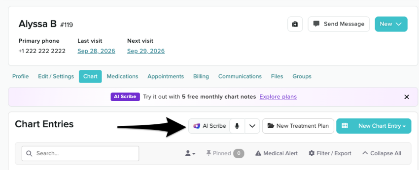 the patient's charting area with a microphone icon above the entries 