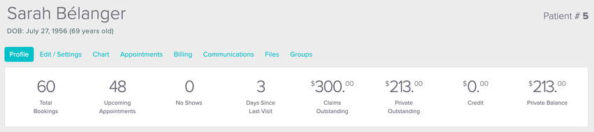 An image of what the patient dashboard looks like within a patient's profile