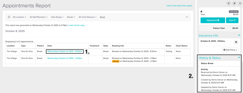 an image of the appointments report when you click on the blue text with the appointment details and open up the appointment panel
