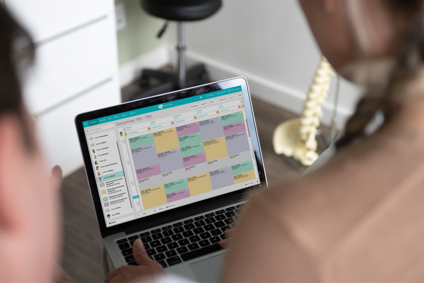 Jane's Chiropractic Practice Management Software in action