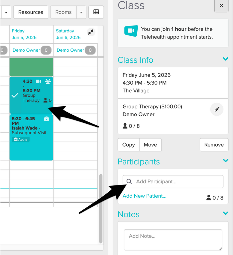 The Appointment Panel showing the Participants section with the search field for adding participants to a Telehealth (Groups & Classes) appointment