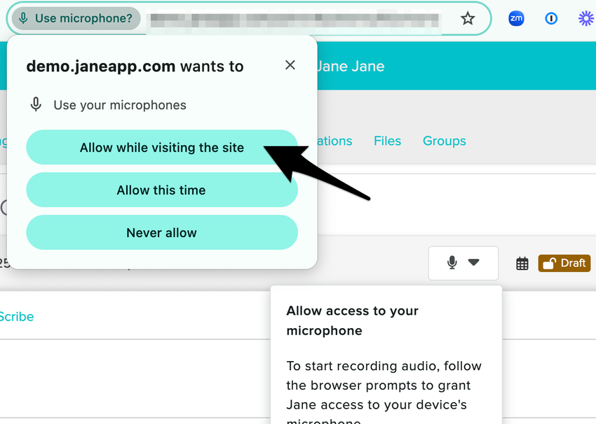 A browser prompt asking the user to allow microphone access for Jane.