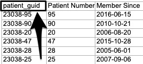 the patient guid field in an exported patient list report