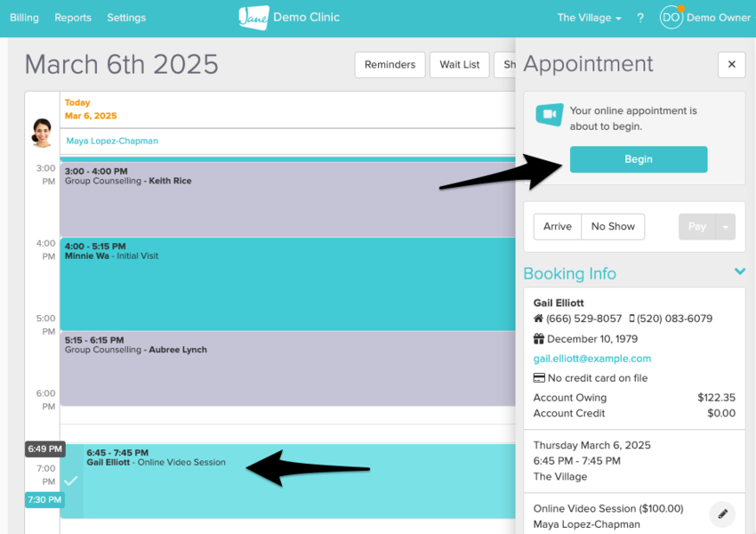 The Appointment Panel showing the Begin button at the top of a Telehealth appointment